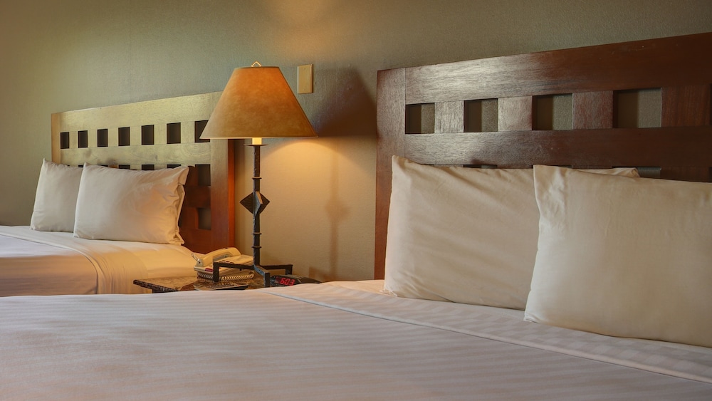 阿尔伯克基东北豪生酒店(Best Western North I-25 Hotel) 图片4