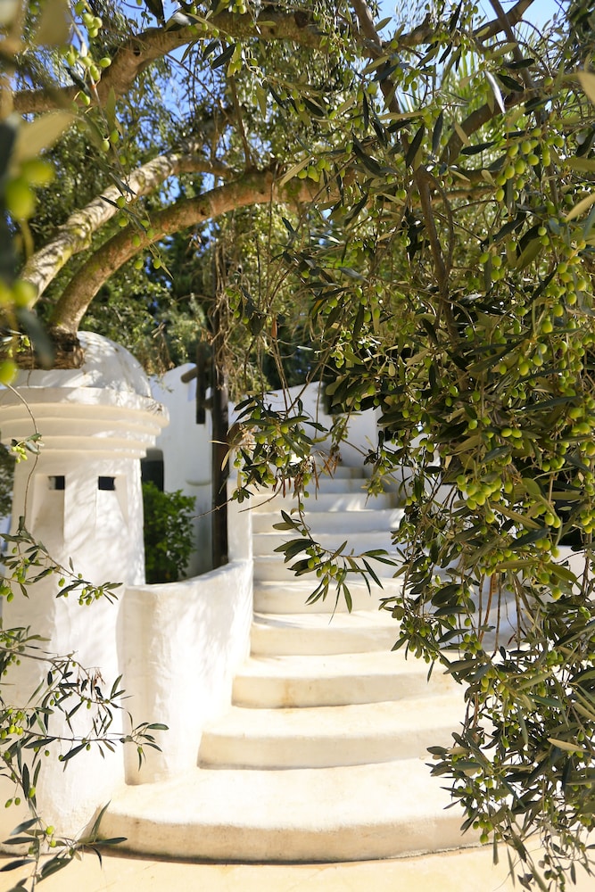 Caribbean World Hammamet Garden 29/80