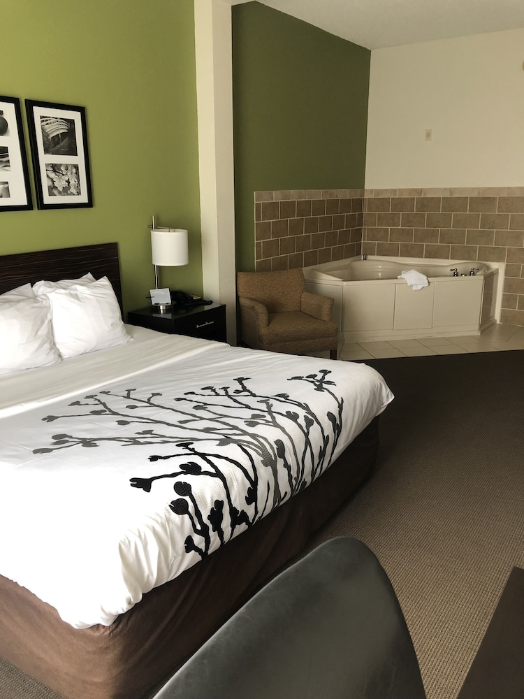 Sleep Inn & Suites Virginia Horse Center 22/53