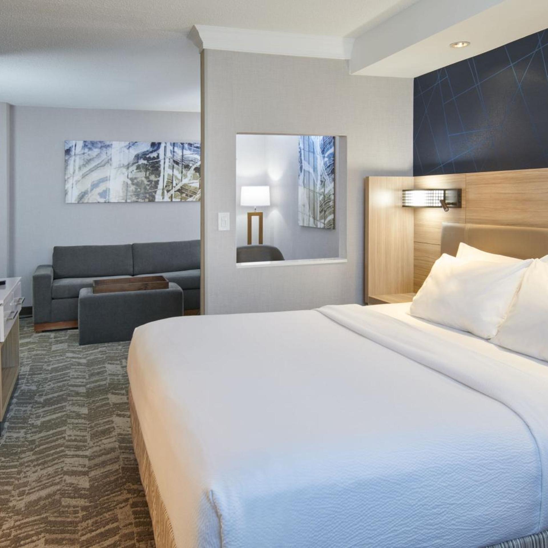 Suite, King Bed, Trundle Bed, Sofa