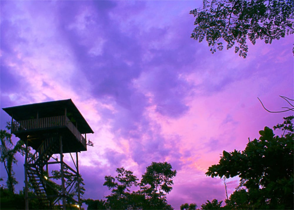 Finca Luna Nueva Lodge 3/68