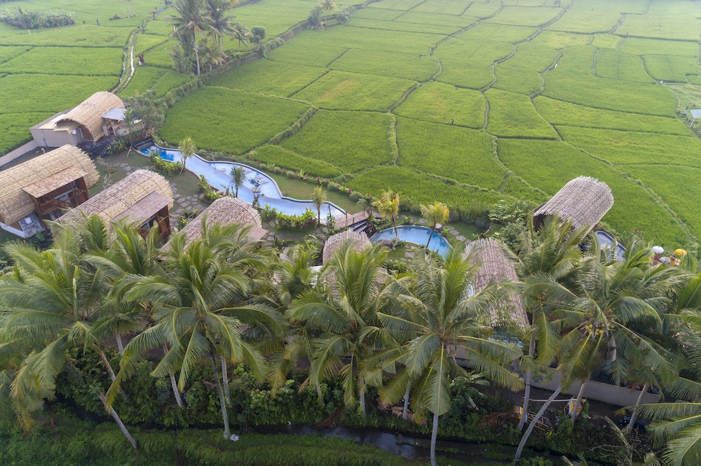 Beehouse Dijiwa Ubud 40/48