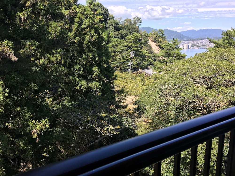 MIYAJIMA MORINOYADO 39/50
