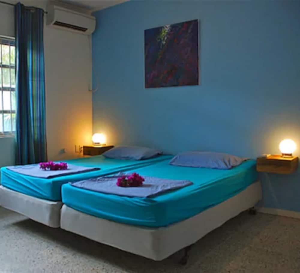 Caribbean Flower Apartments 4/38