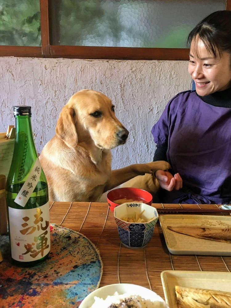Guesthouse Irodori Kamakura 18/44