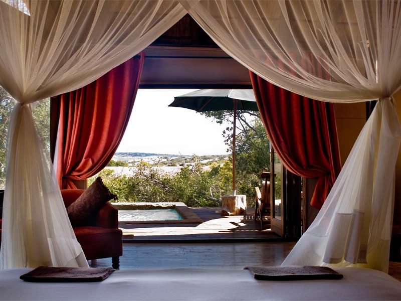 Safari Lodge- Amakhala Game Reserve 16/50