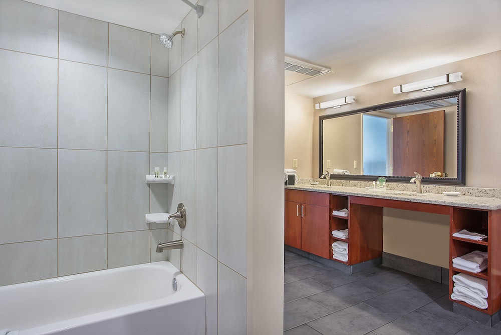 Holiday Inn University Plaza-Bowling Green 26/71