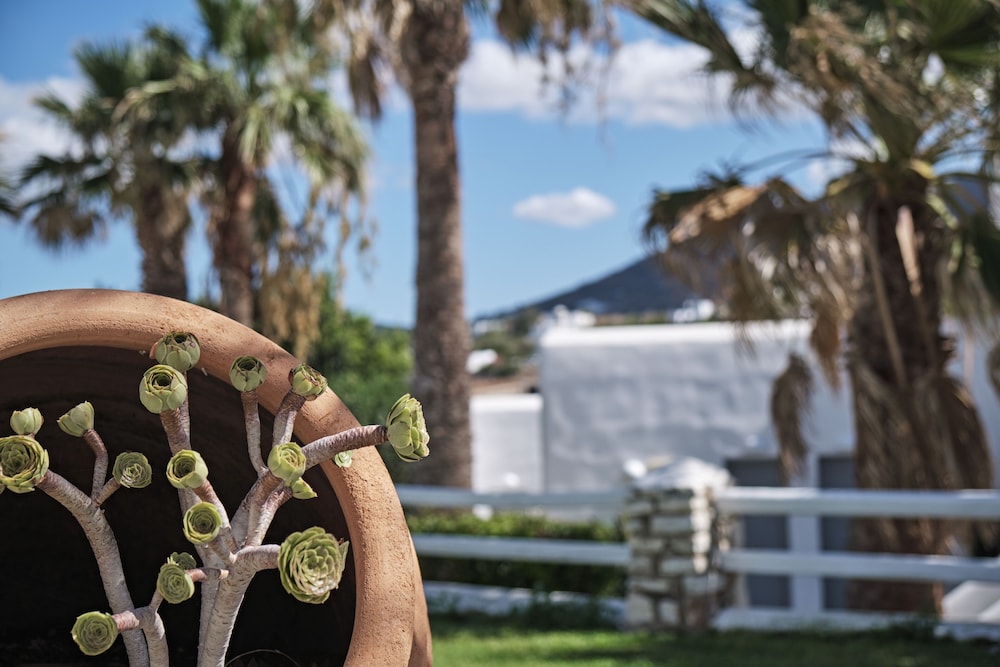 Paros Bay 63/64