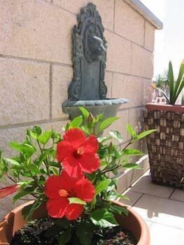 Vi Suites Viareggio 5/50