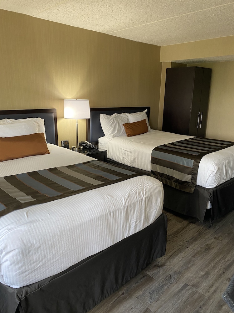 Wingate by Wyndham Springfield 19/60