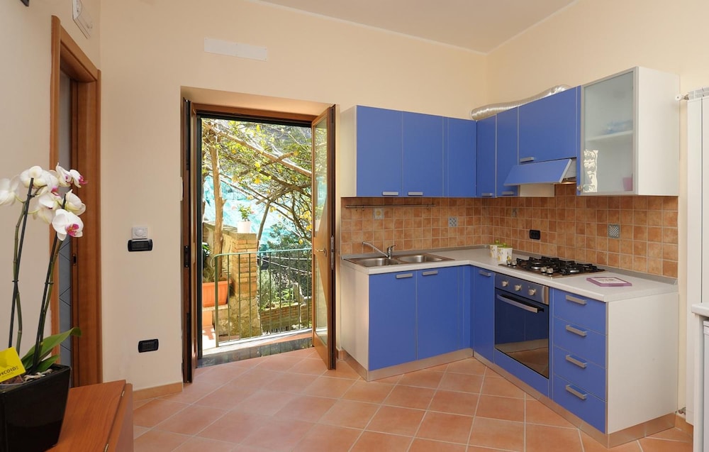 Lemon Garden 4/31
