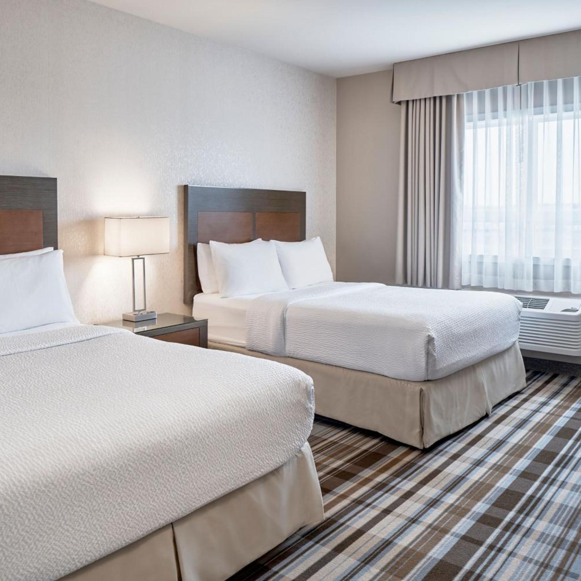 1 Bedroom, Suite, 2 Queen Beds, Sofa, Kitchen