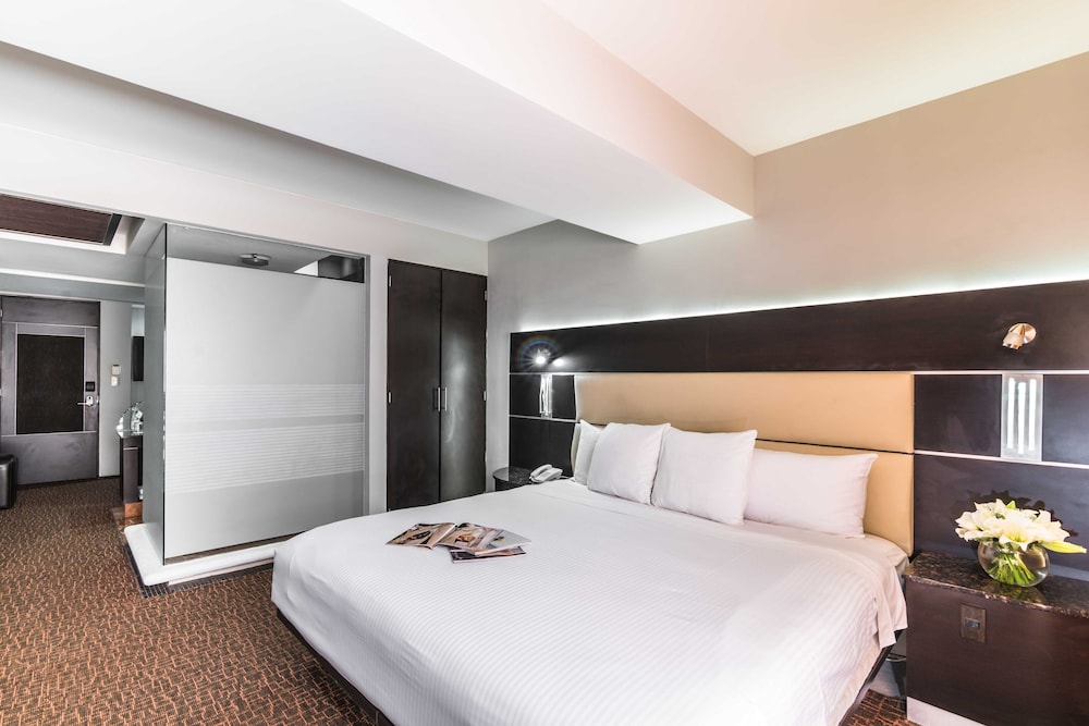 Exe Cities Reforma Ex Nyt Roma Boutique Reforma 13/62