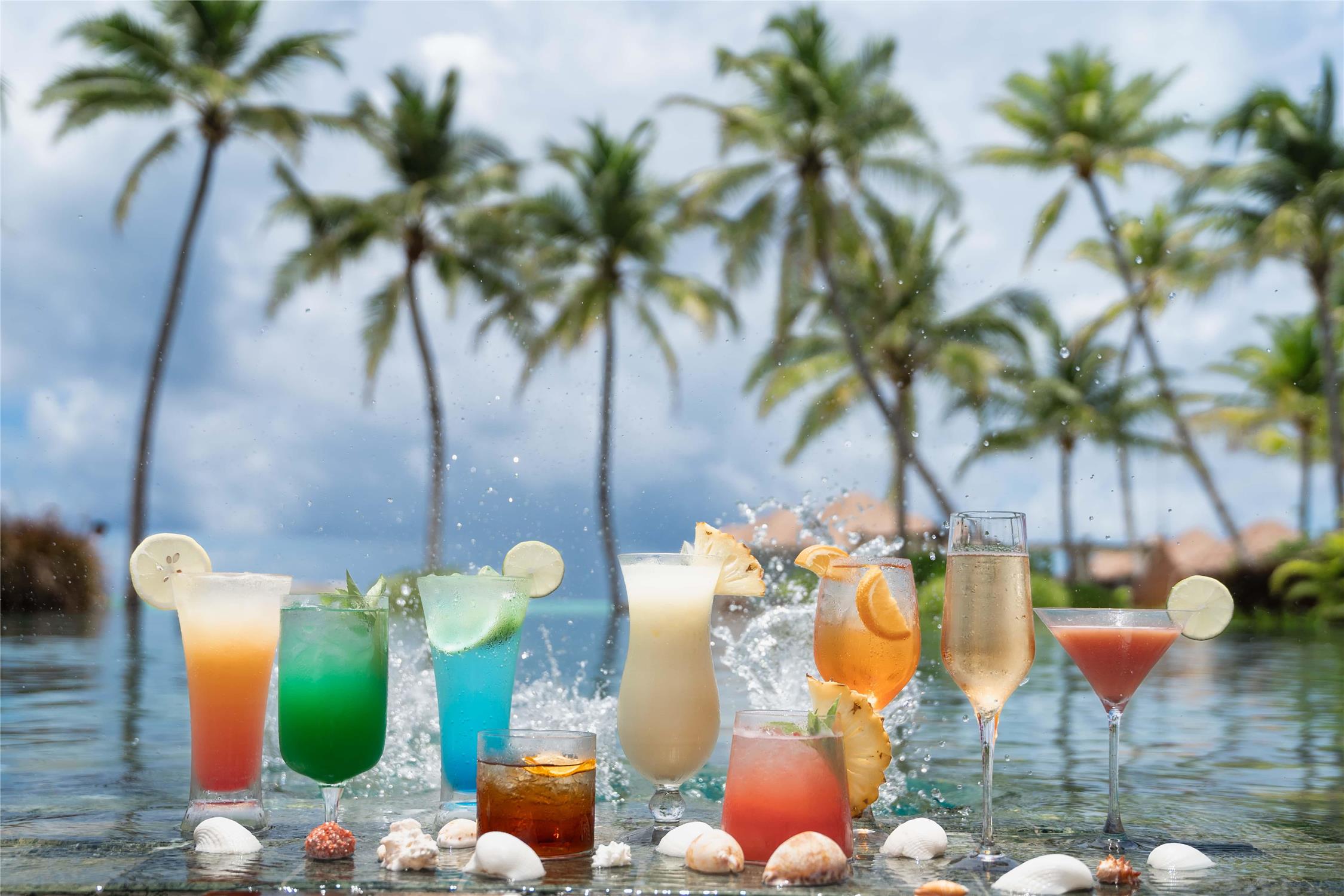 Melia Whale Lagoon Maldives 24/66