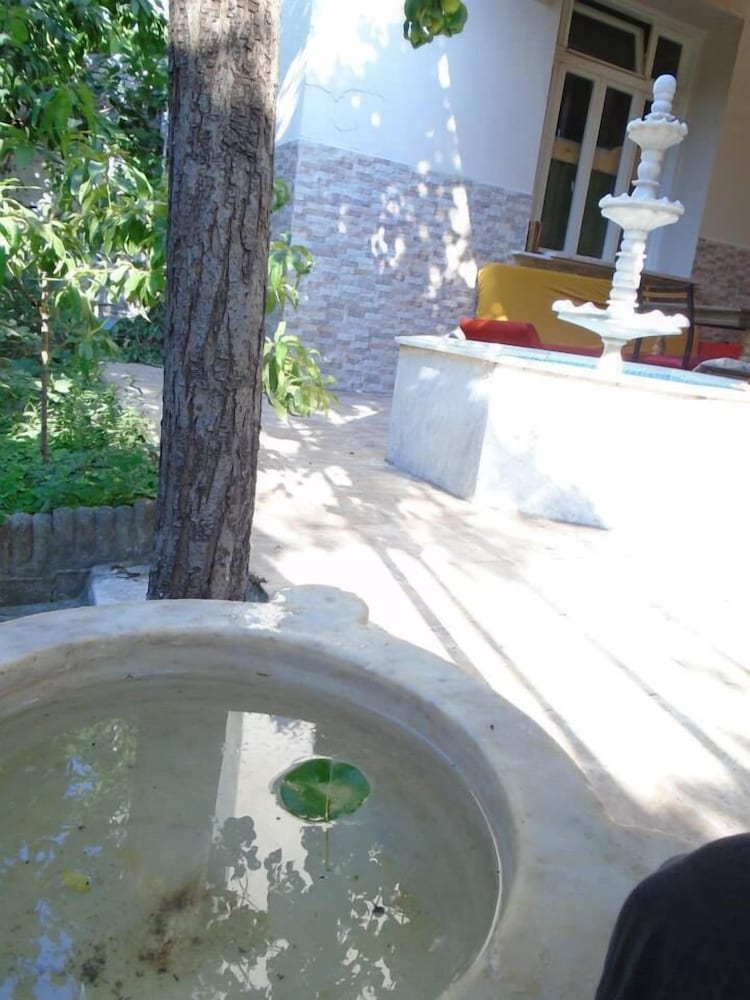 Lotus Garden Hostel 16/35