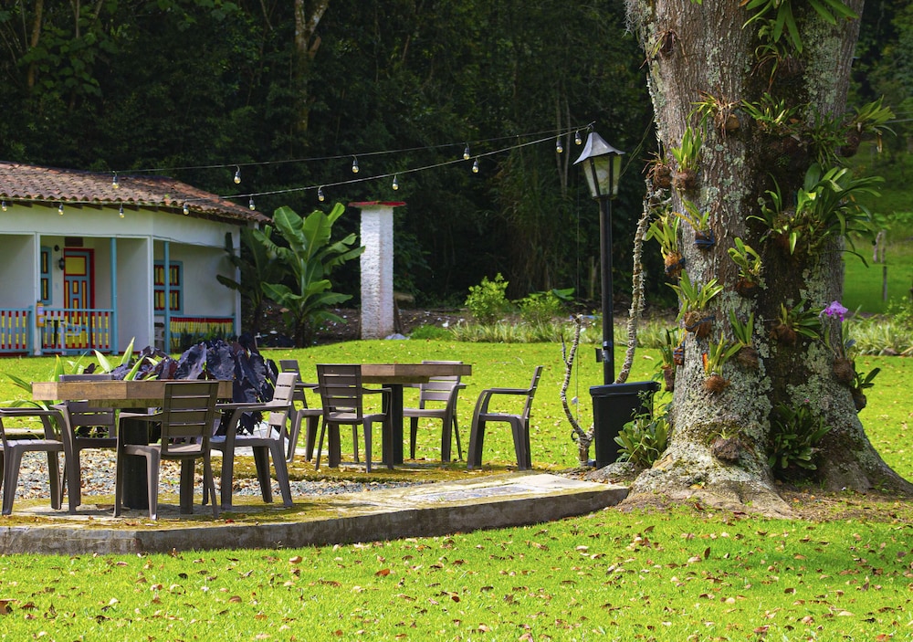 Hotel Momotus Cocora by DOT Boutique 42/50