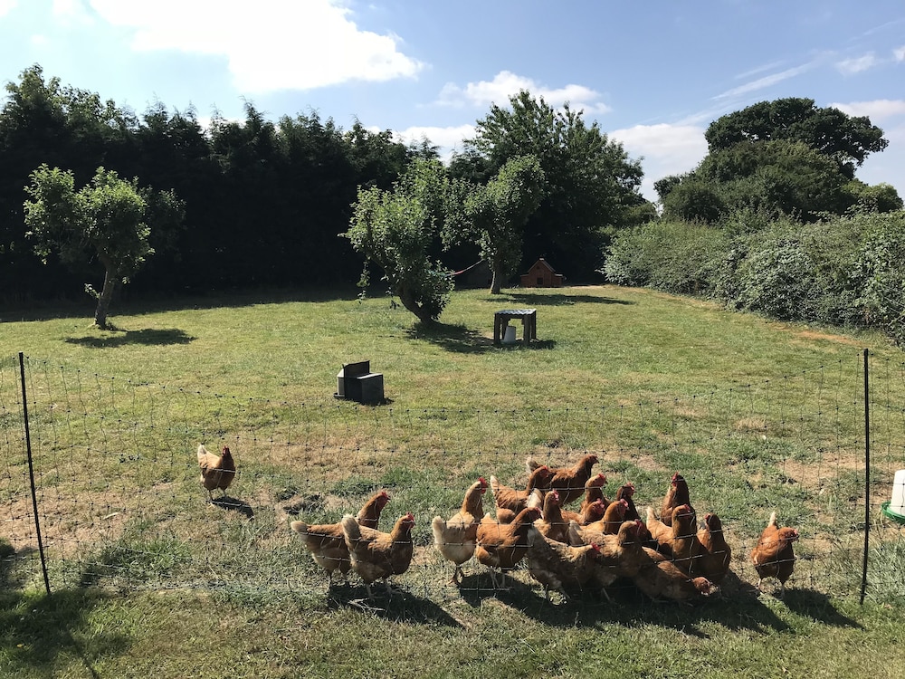 Colton Haggs Farm Bed And Breakfast 23/26