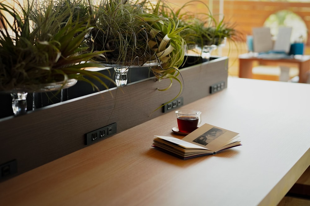 SHINYU HOTEL(RYOKAN) 41/45