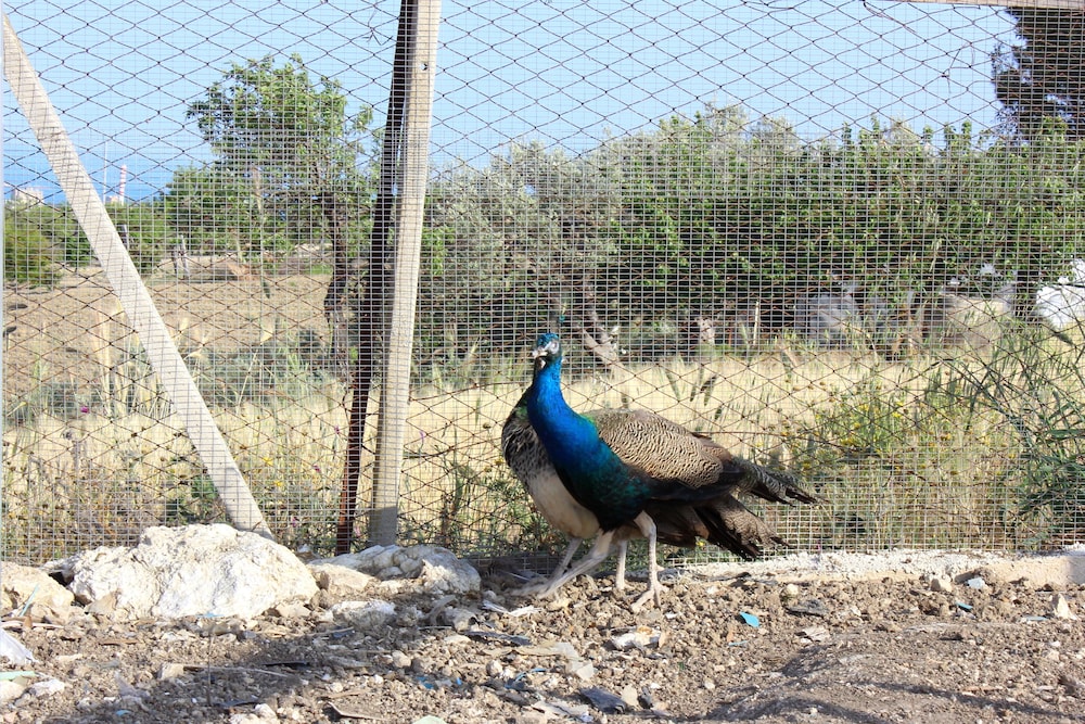 Agriturismo La Casa Di Bacco 12/39