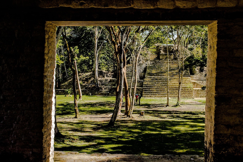 surroundings