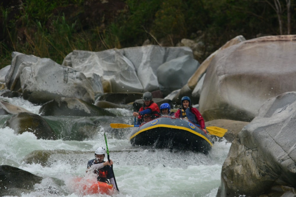 Omega Tours Adventure Company And Eco Jungle Lodge 30/50