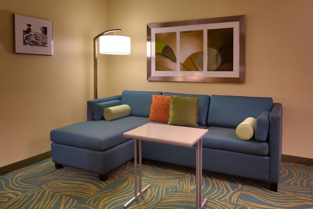 Spring Hill Suites By Marriott Cedar City 22/29