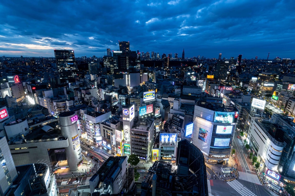 Shibuya Excel Hotel Tokyu 54/61