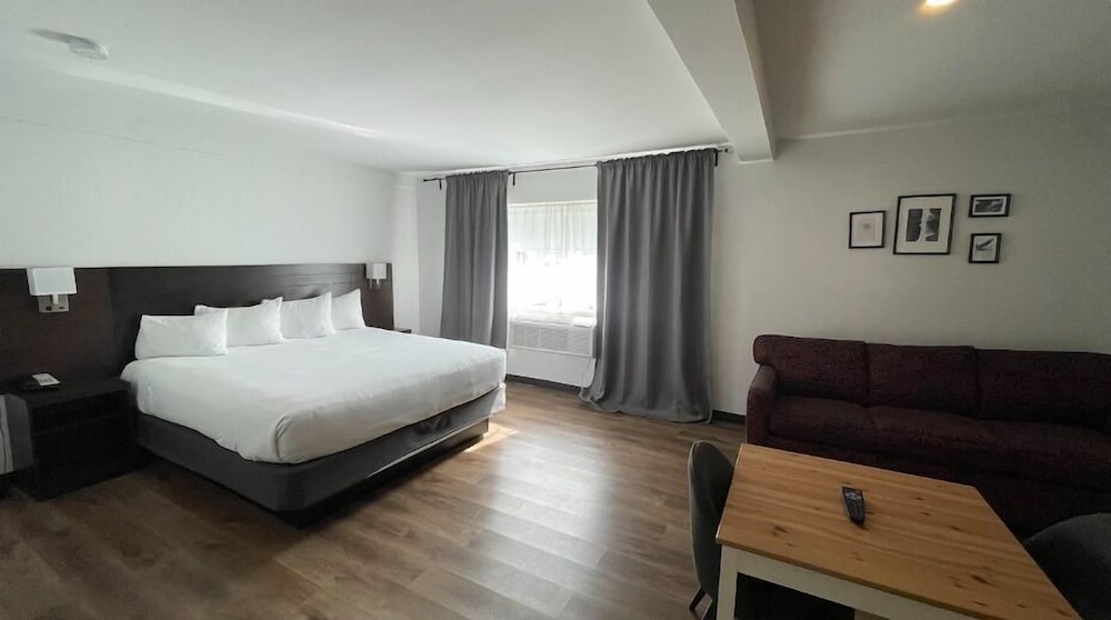 JUNIOR SUITE, KING BED, SOFA, KITCHENETTE