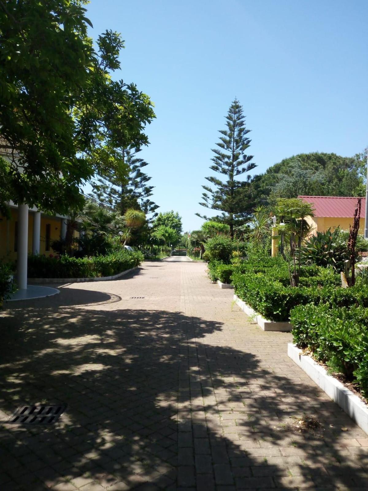 surroundings