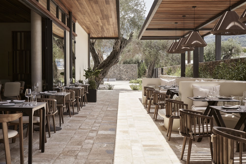 The Olivar Suites 36/50