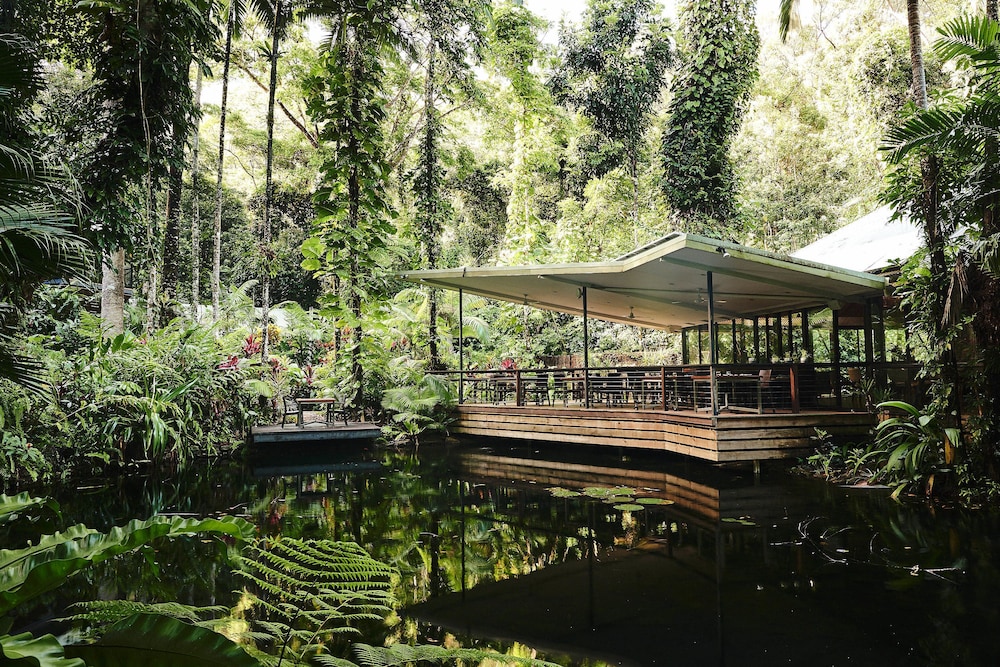 Daintree Ecolodge in DAINTREE