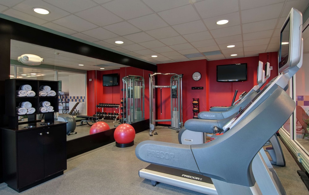 Hilton Garden Inn Detroit Metro Airport 26/45