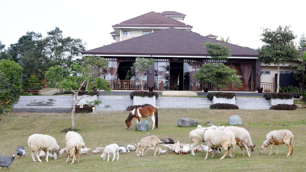 Kimberly Tagaytay Hotel 3/71