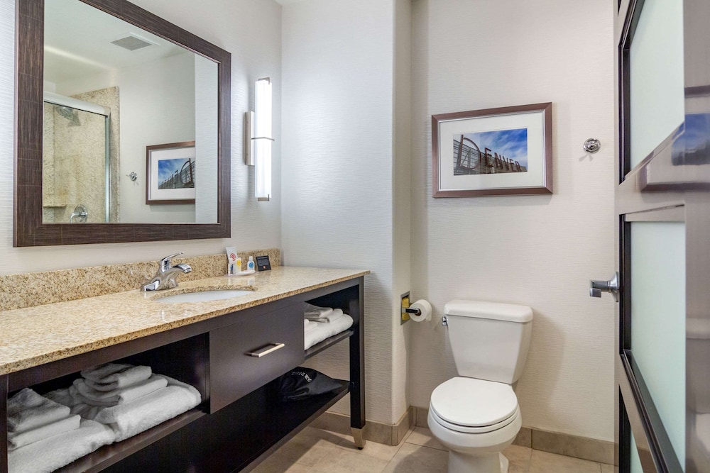 Comfort Inn and Suites Brighton Denver NE Medical Center 11/34