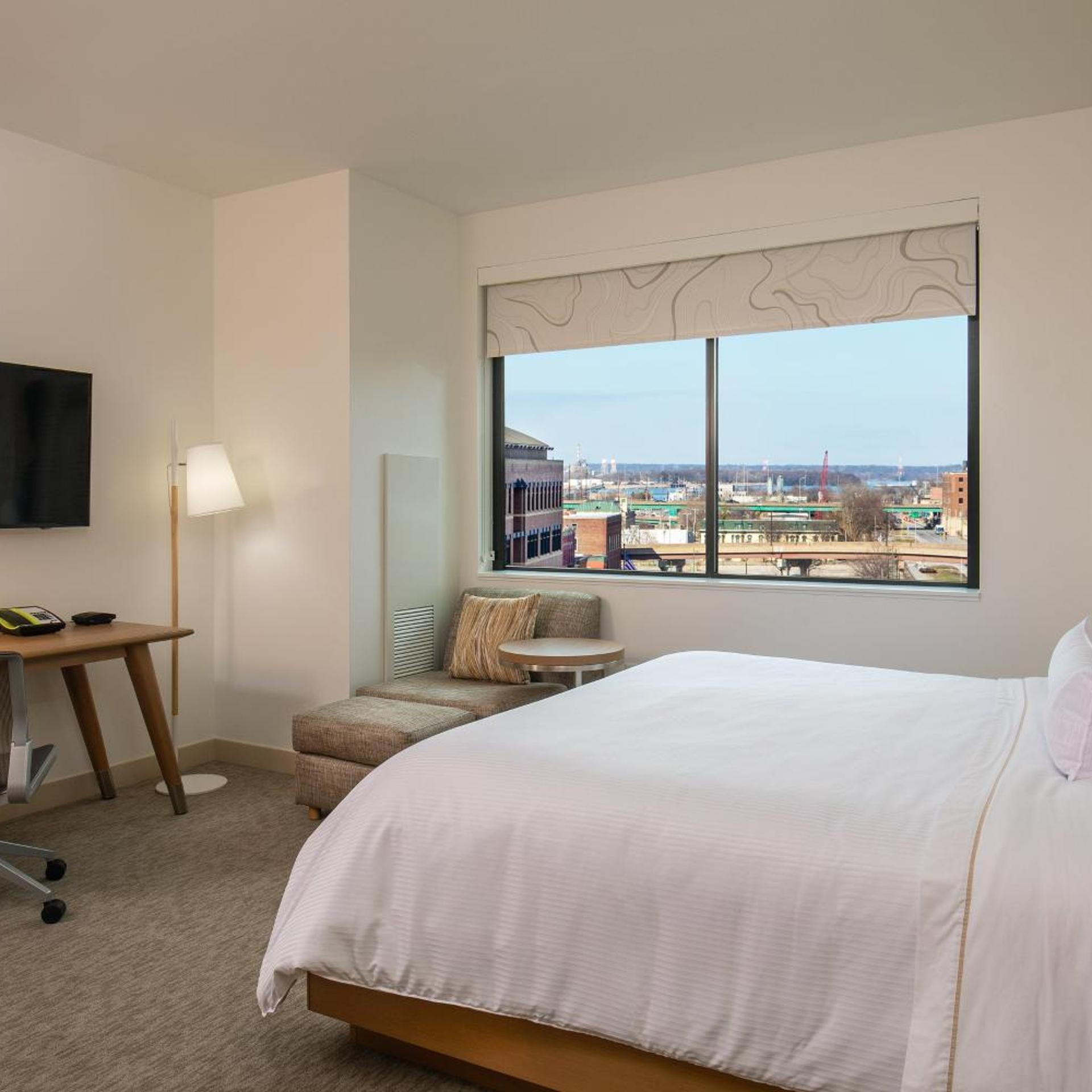 Guest Room, Standard, King Bed