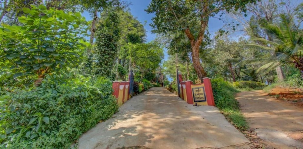 Ama Stays And Trails Rare Earth Estate 50/57
