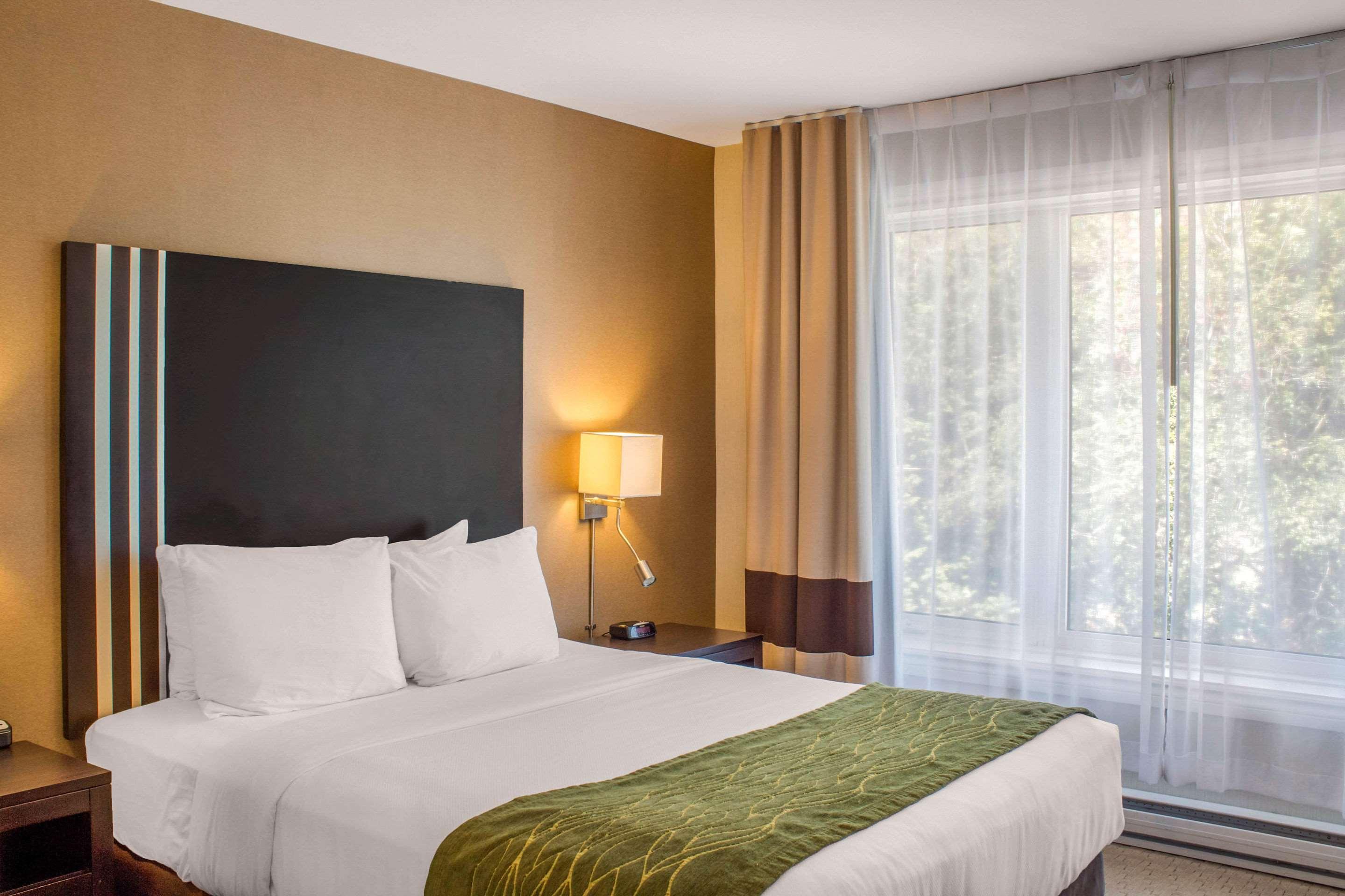 Efficiency, Suite, 2 Queen Beds