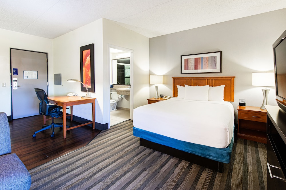 Studio, Suite, Queen Bed, Sofa