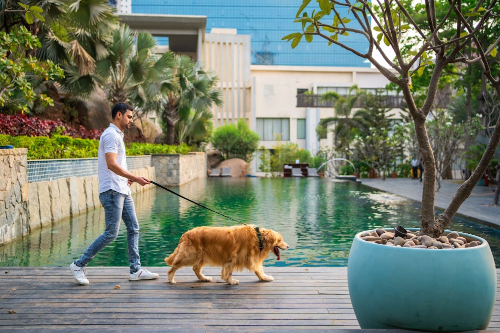 HYATT HYDERABAD GACHIBOWLI 34/71