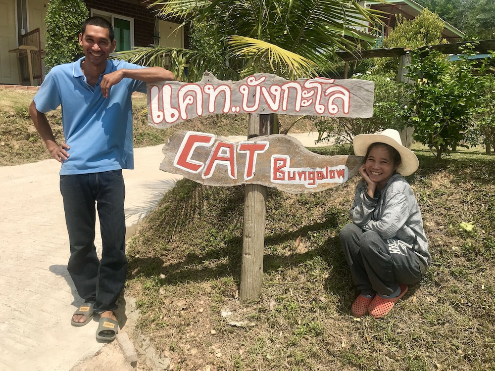 Cat Bungalow 58/66