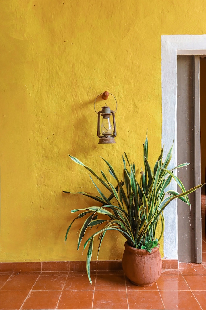 Hacienda San Miguel Yucatan 12/72