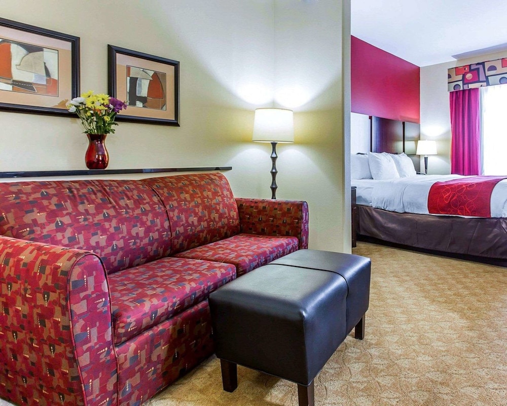 Comfort Suites Stockbridge Atlanta South 28/39