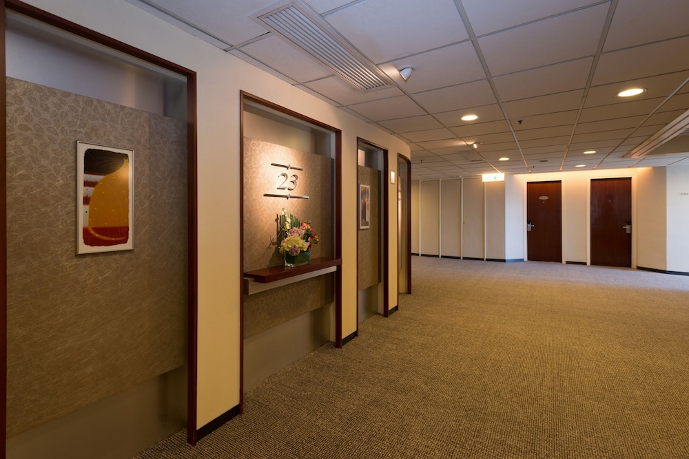 B P International 8/50