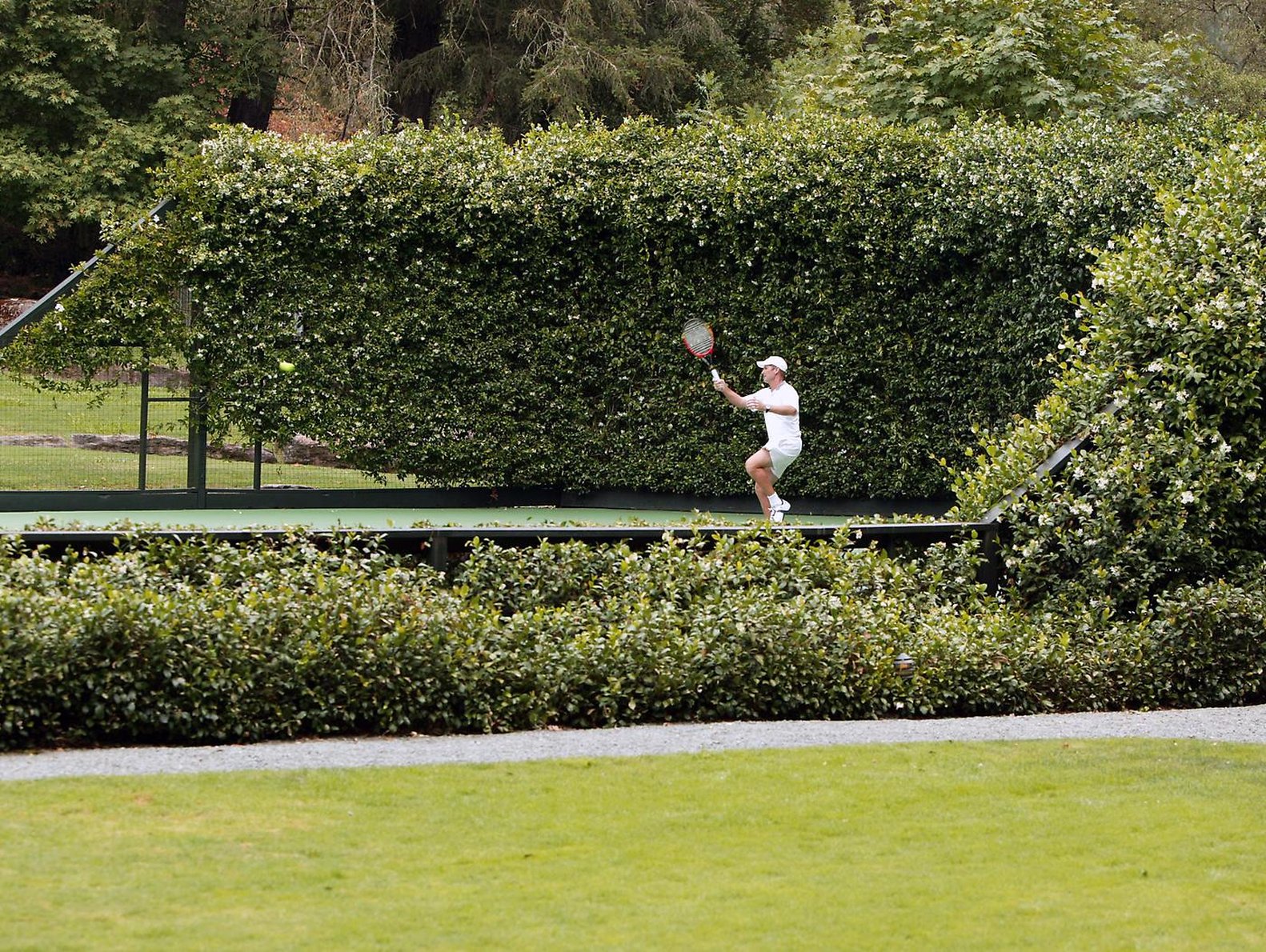 Meadowood Napa Valley 38/50