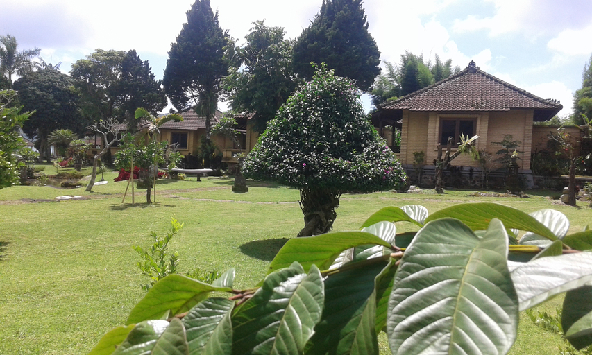 Enjung Beji 10/11