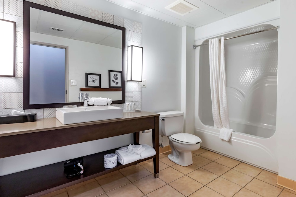 Country Inn & Suites by Radisson, Aiken South 13/39