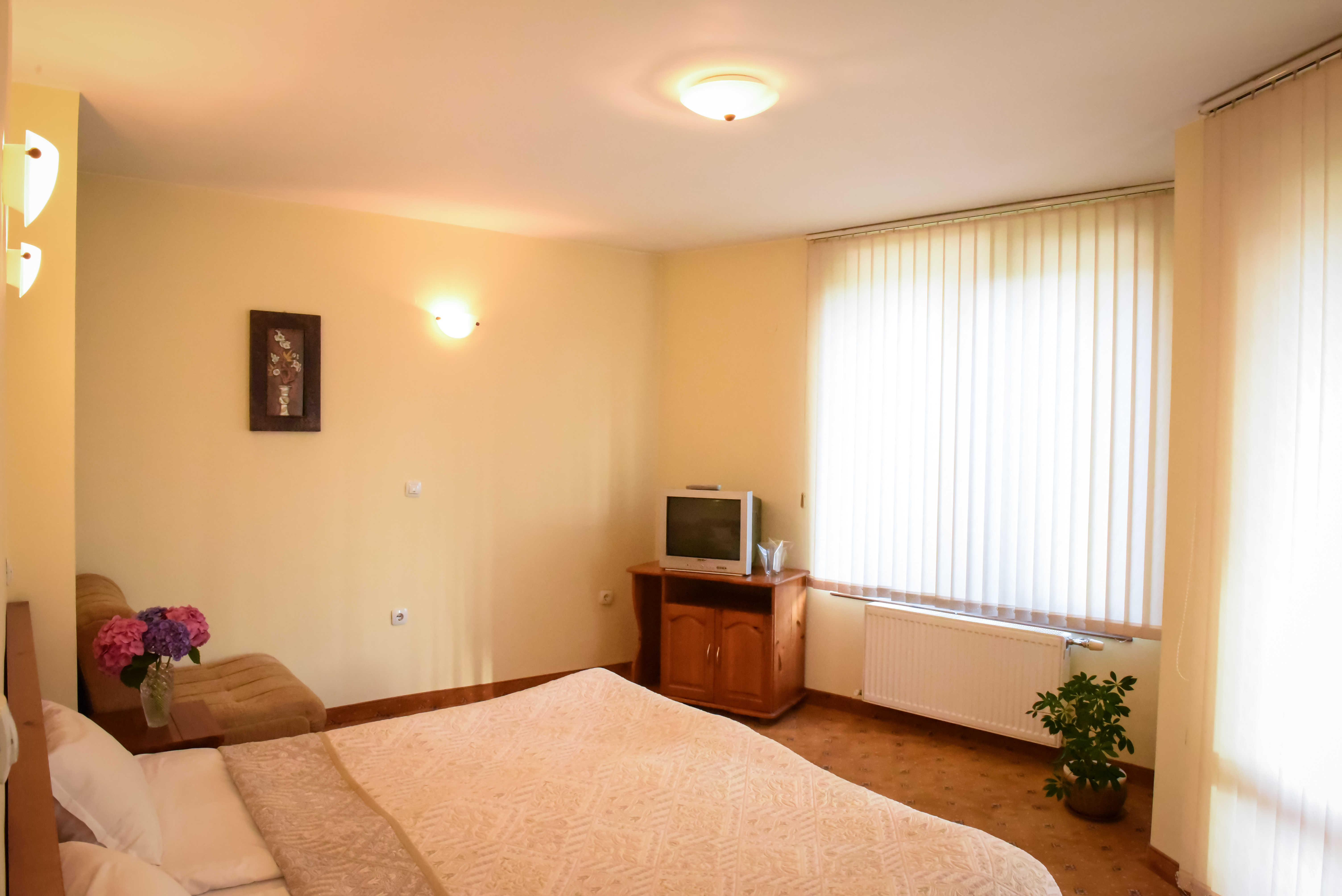LINA GUEST HOUSE BANSKO 13/26
