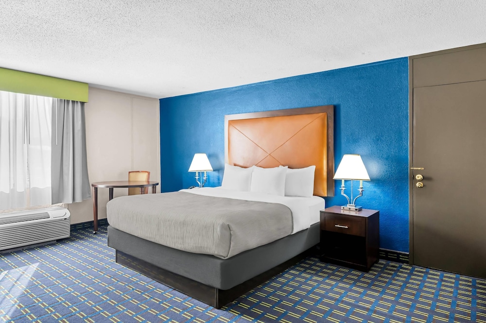 SUITE, KING BED