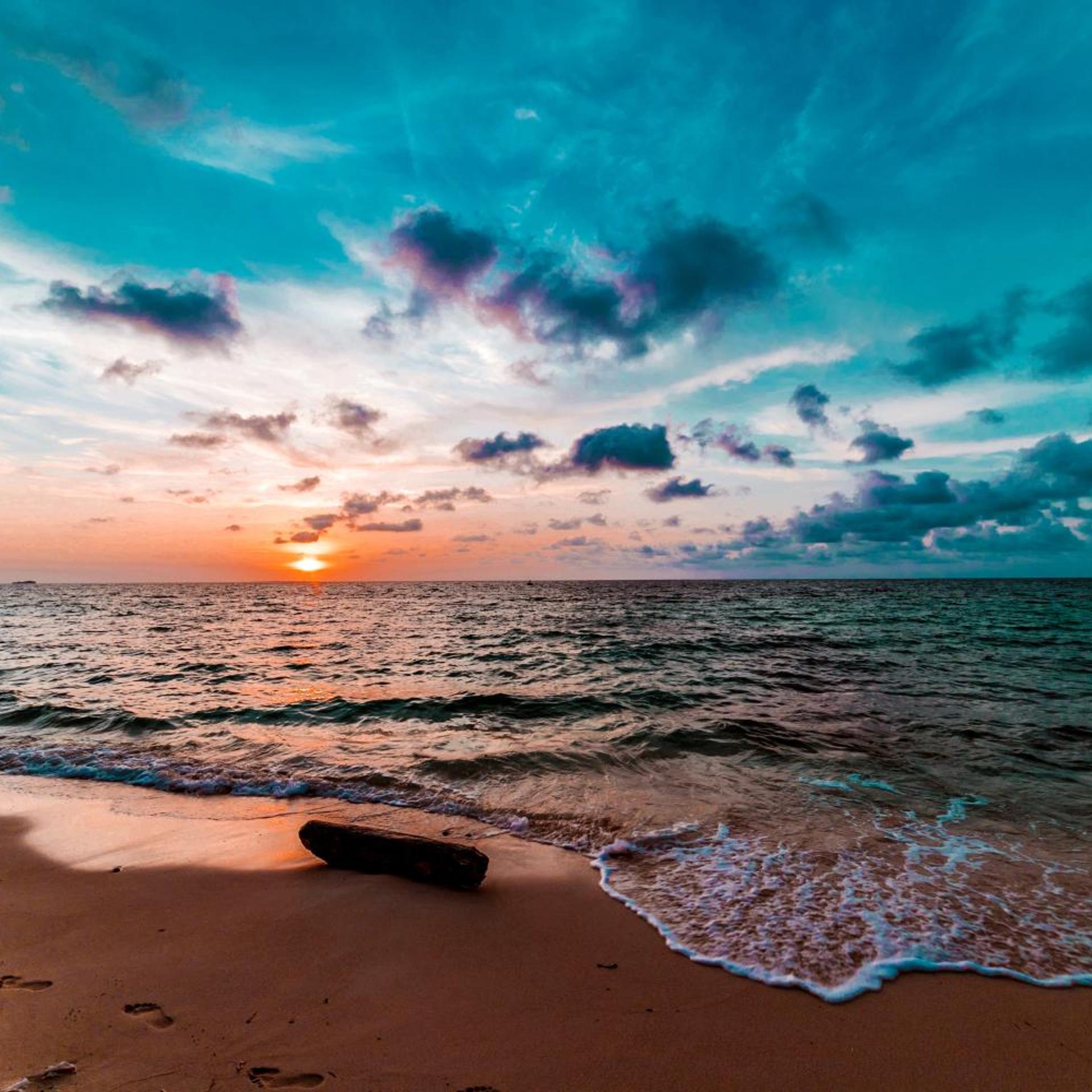 Prana Beach 42/50