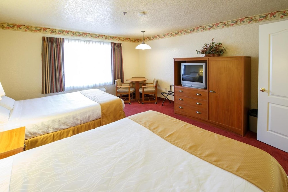 Murphys Suites 19/66